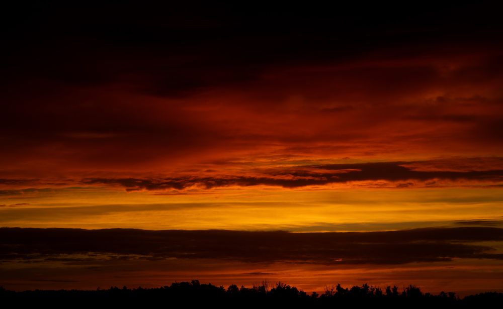 Photograph by Алина Аристова