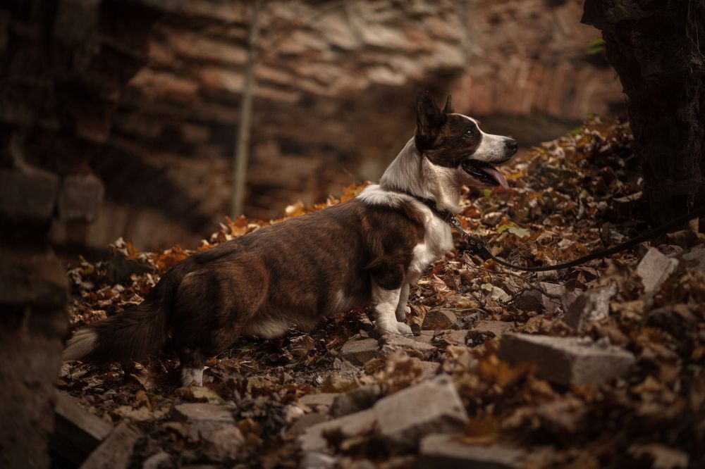 Photograph by Наталья Мартынова