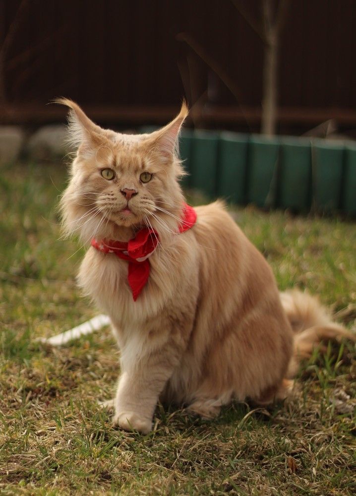 Photograph by Ермолова Анастасия