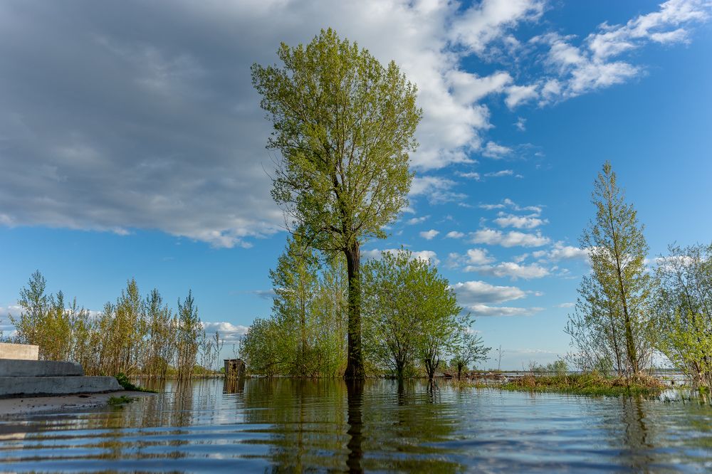 Фотография автора Вадим Топычканов