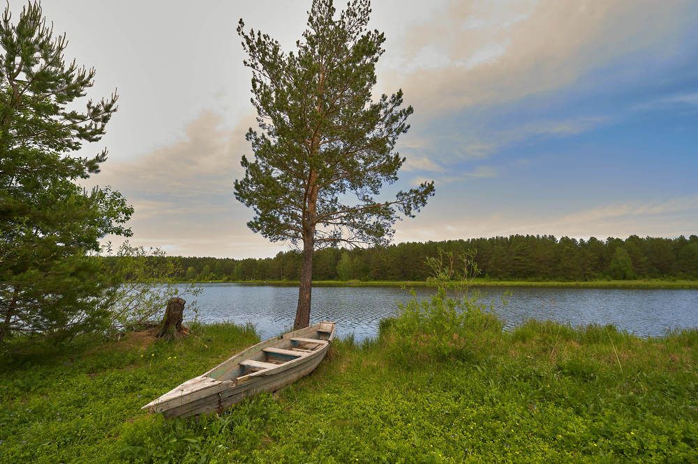 Photograph by Елена Мормоль