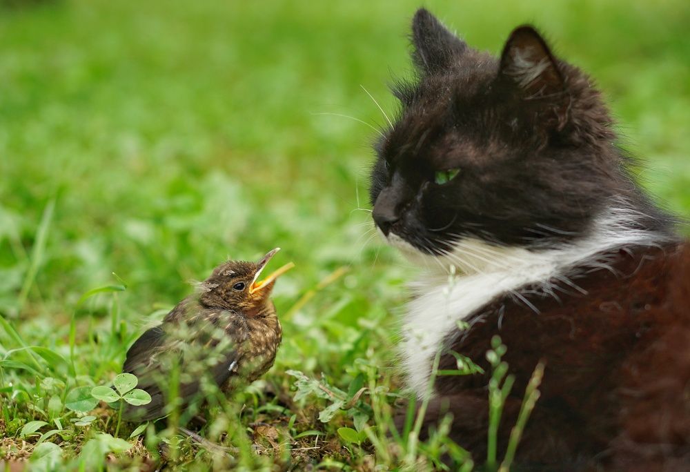 Photograph by Галина Воротникова