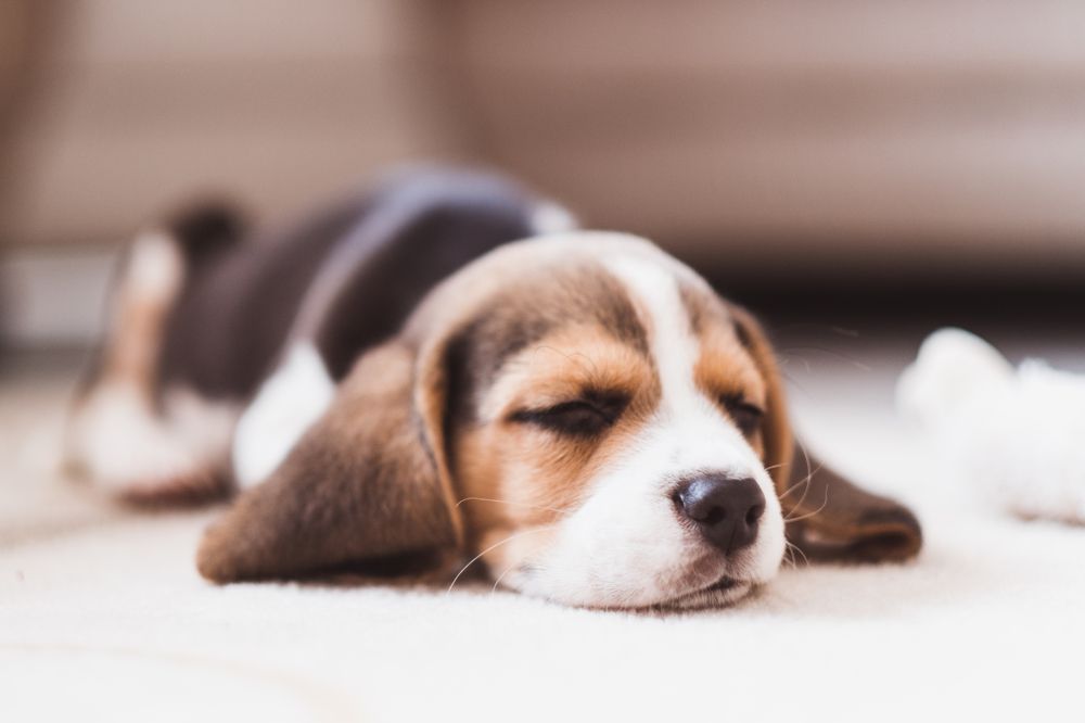 Photograph by Evgeniya Biriukova