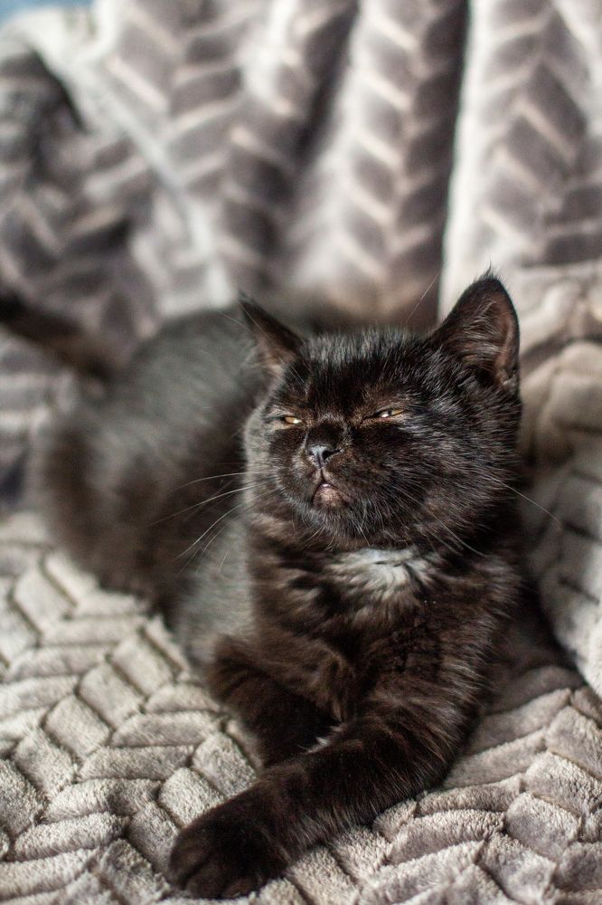 Фотография автора Наталья Иванова