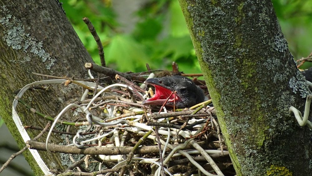 Photograph by Марина Хабибулина