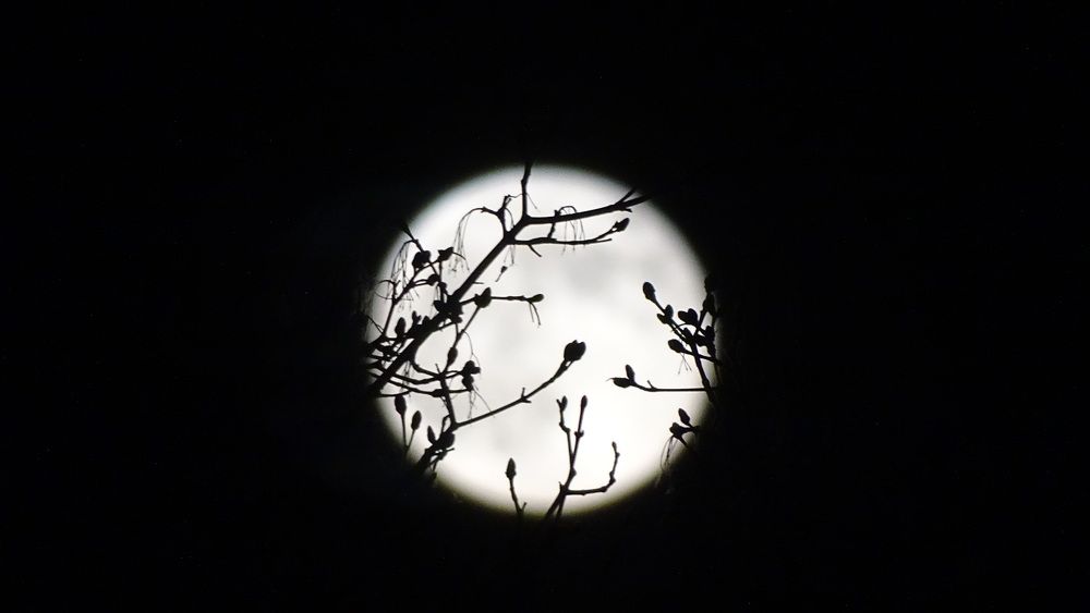 Photograph by Марина Хабибулина