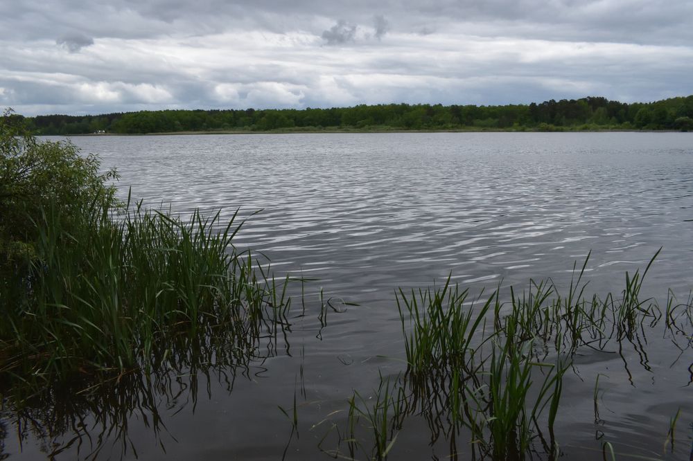 В пасмурный день