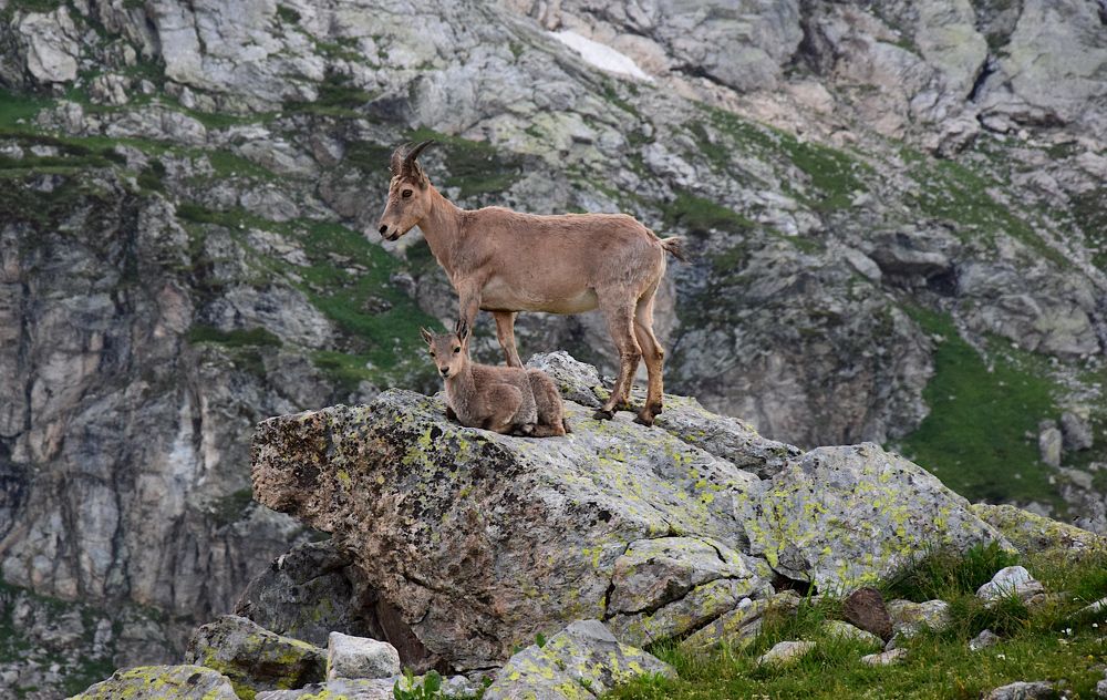 Photograph by Margo Margo