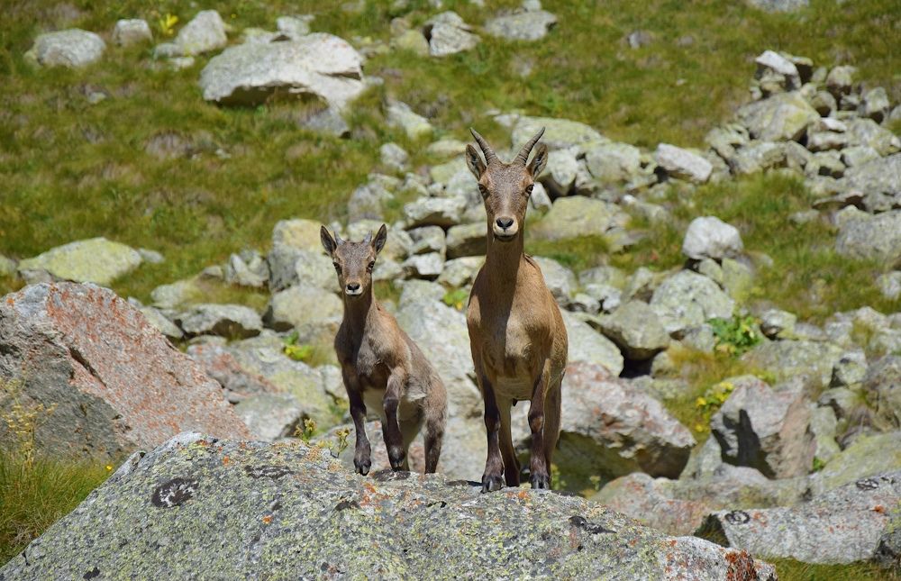 Photograph by Margo Margo