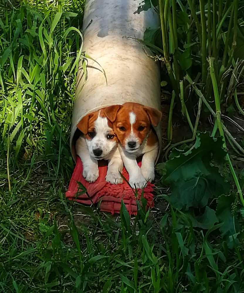 Спрятались