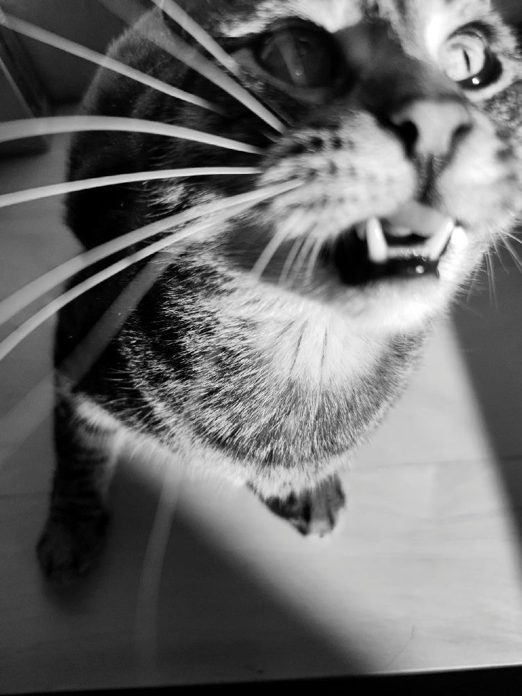 Photograph by Оксана