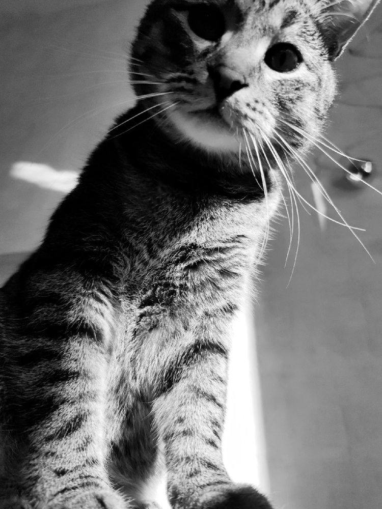 Photograph by Оксана