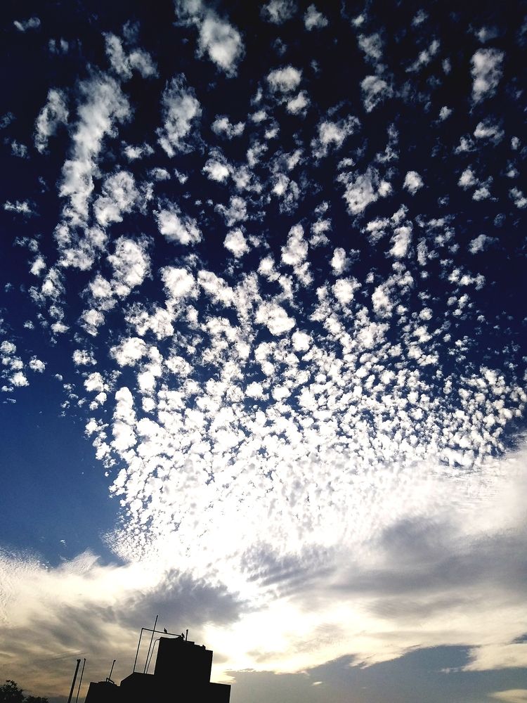 Photo #6153151