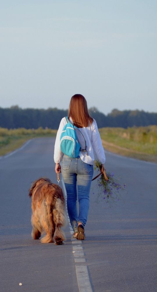 Если с другом вышел в путь...