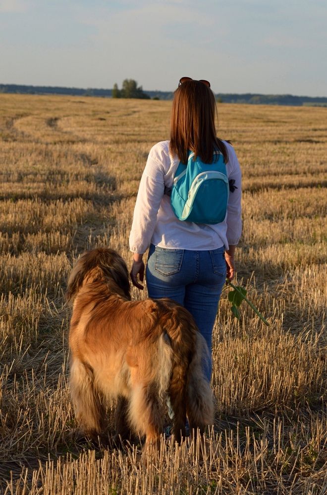 ...Куда пойдём..?