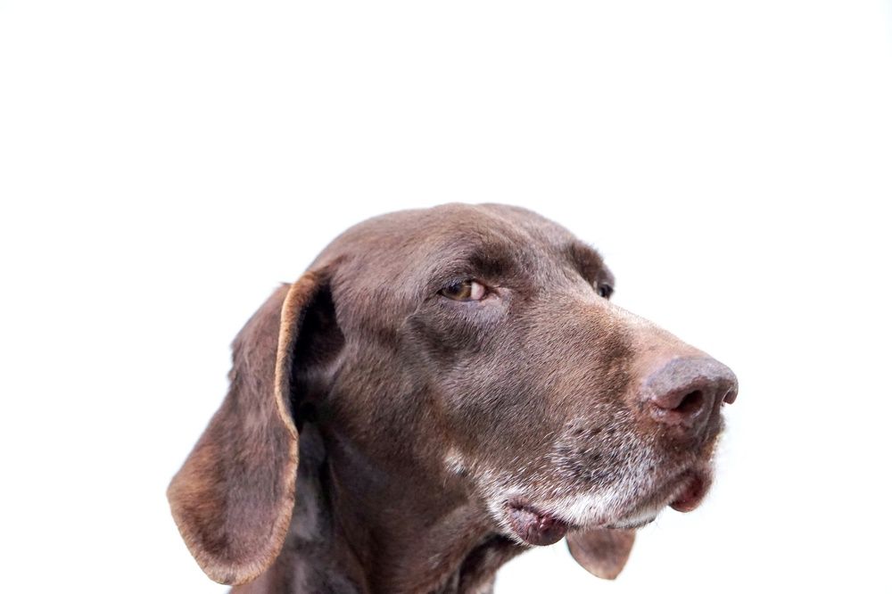 Photograph by Галина Воротникова