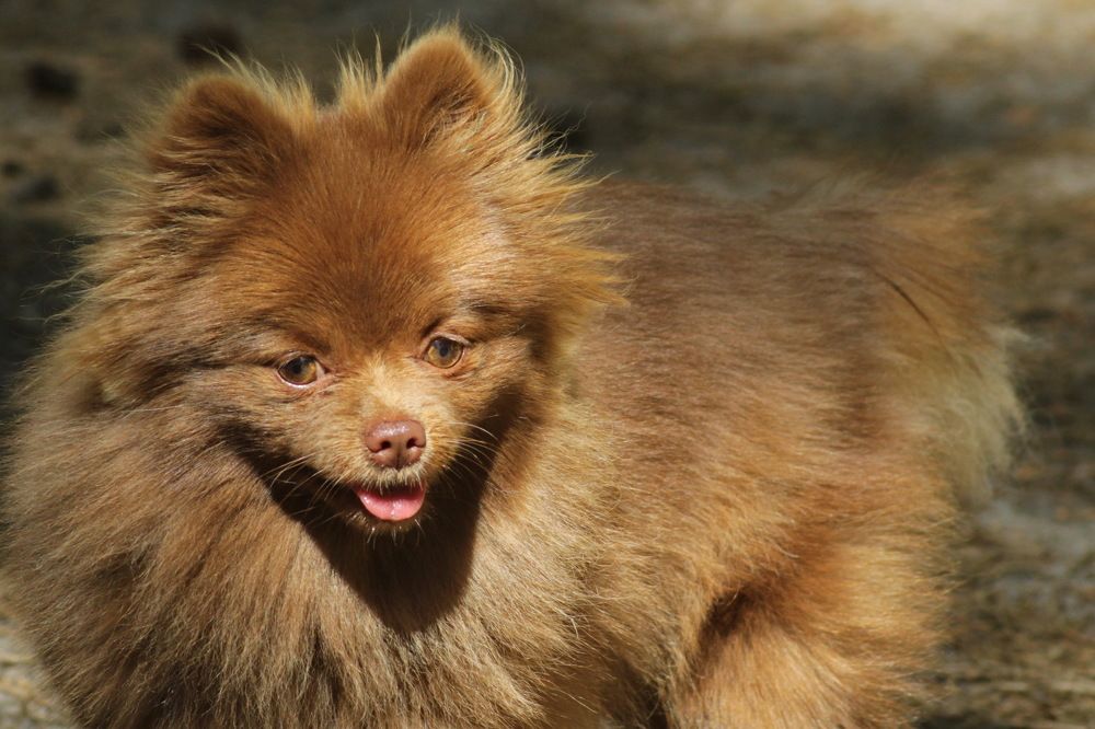 Photograph by Николай Николаевич Леухин