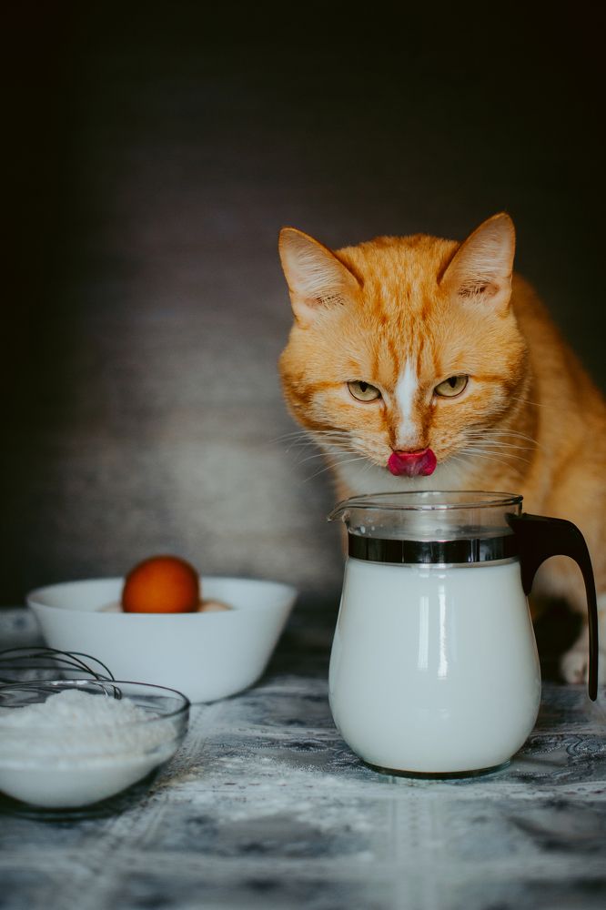 Photograph by Людмила Зяблова