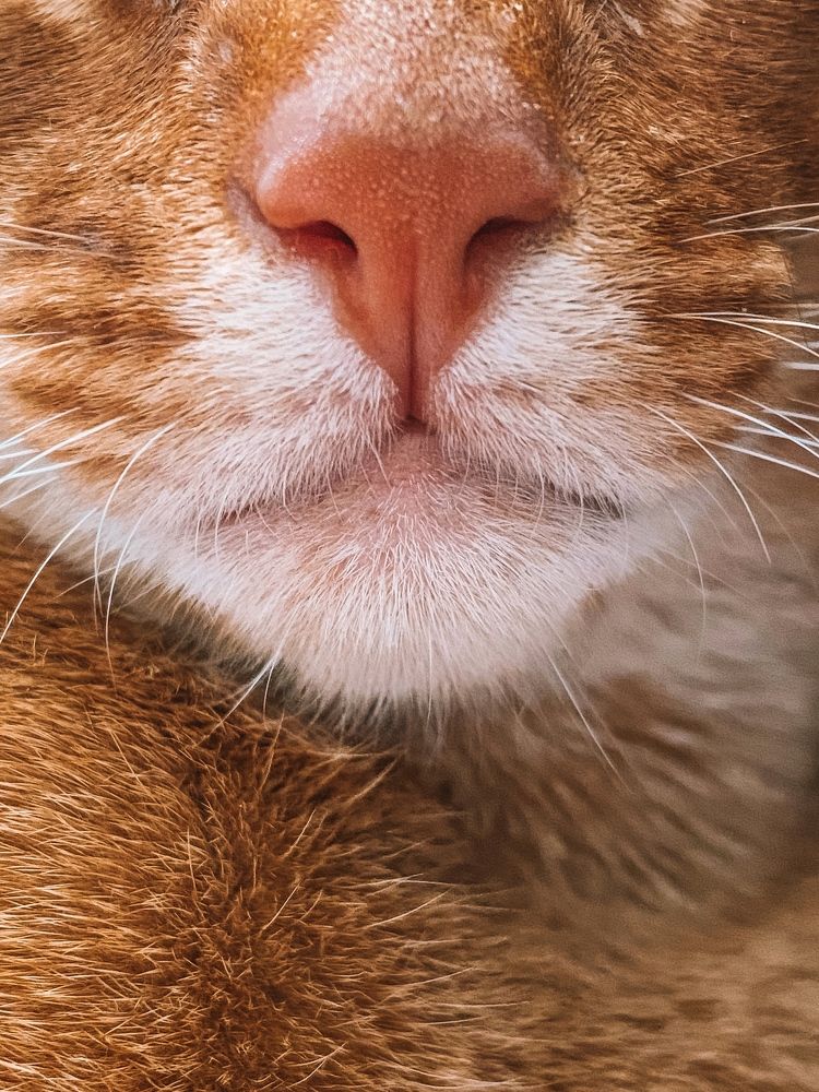 Фотография автора Денис Демков