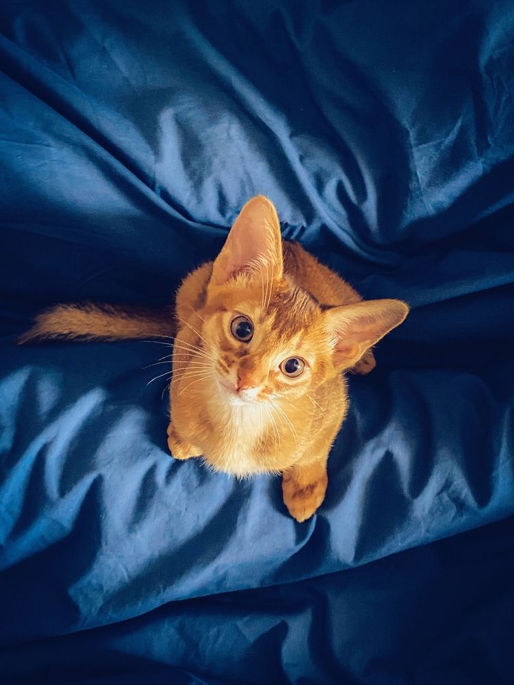 Фотография автора Денис Демков