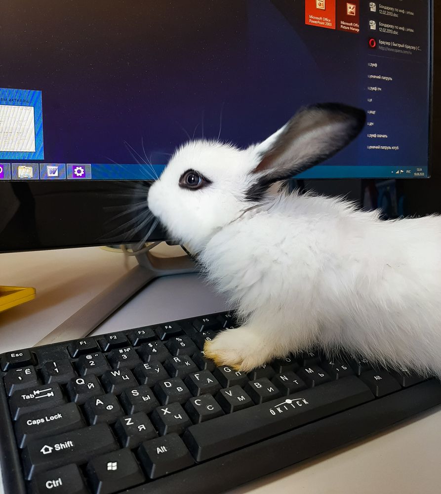 Photograph by Галина Воротникова