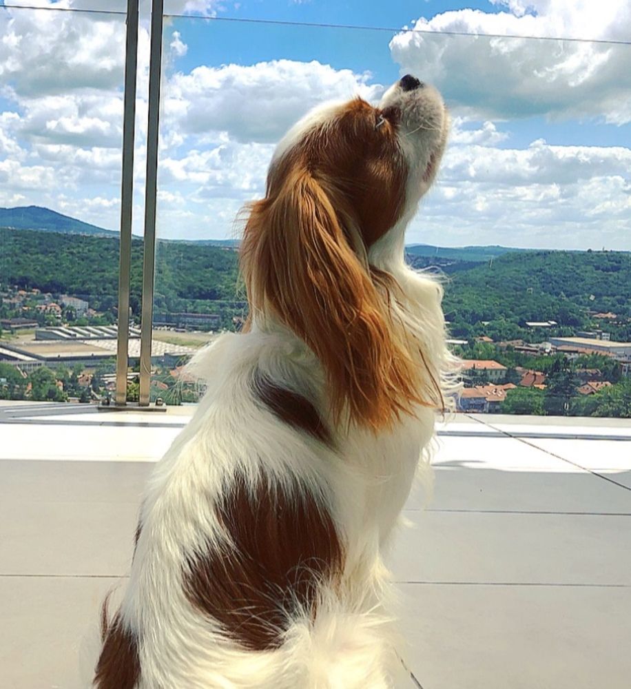 Photograph by Теодора Милекич