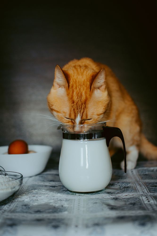 Photograph by Людмила Зяблова