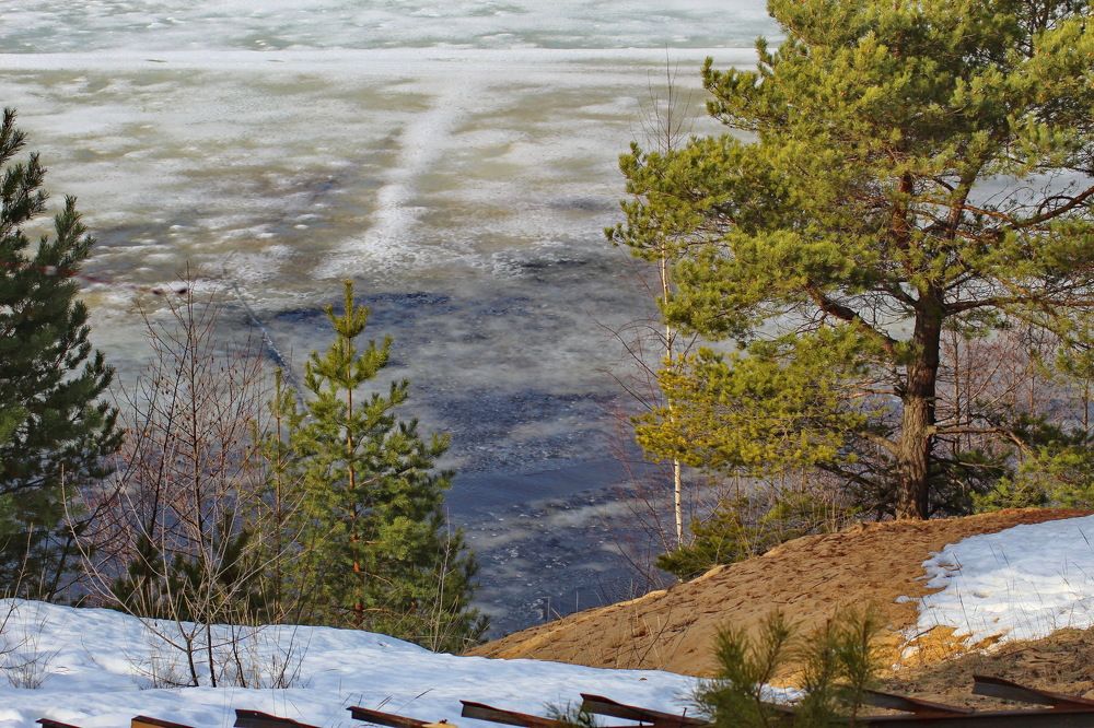 Photograph by Николай Николаевич Леухин