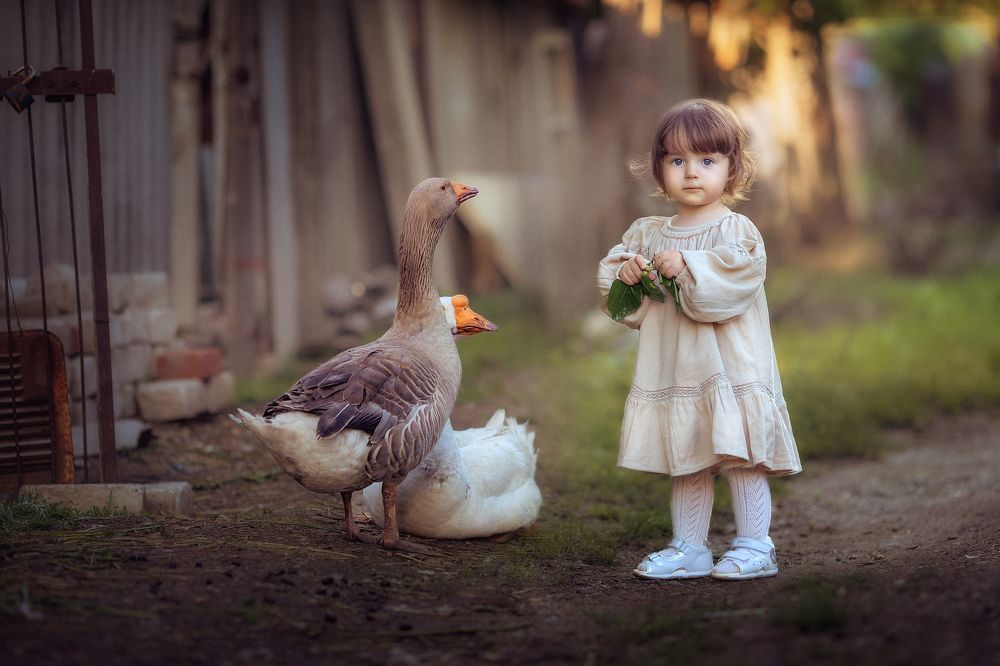 Деревенское утро