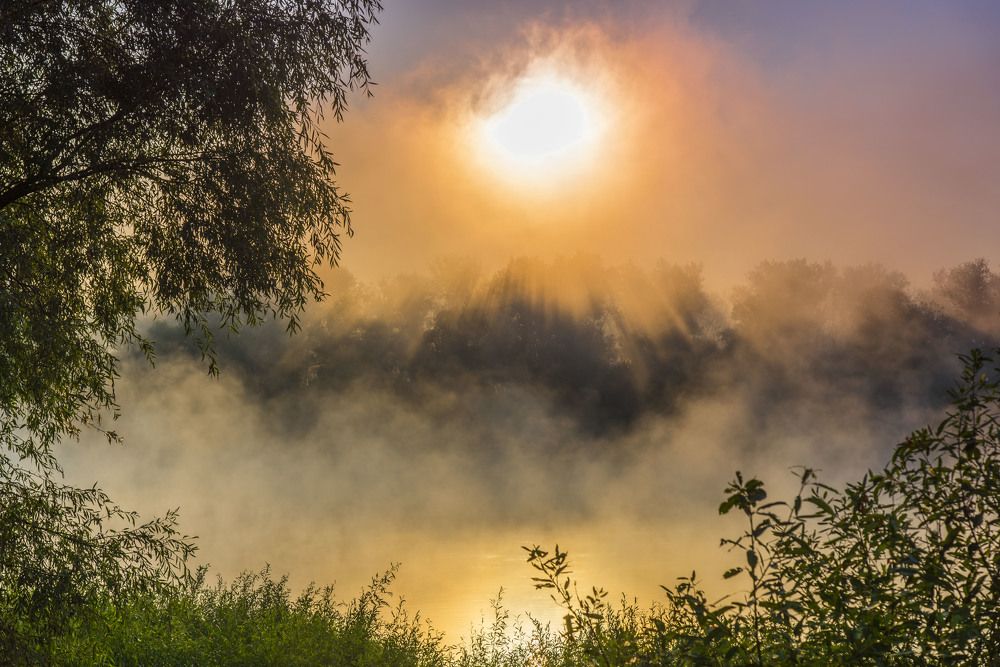 Photograph by Максим Попельнюх