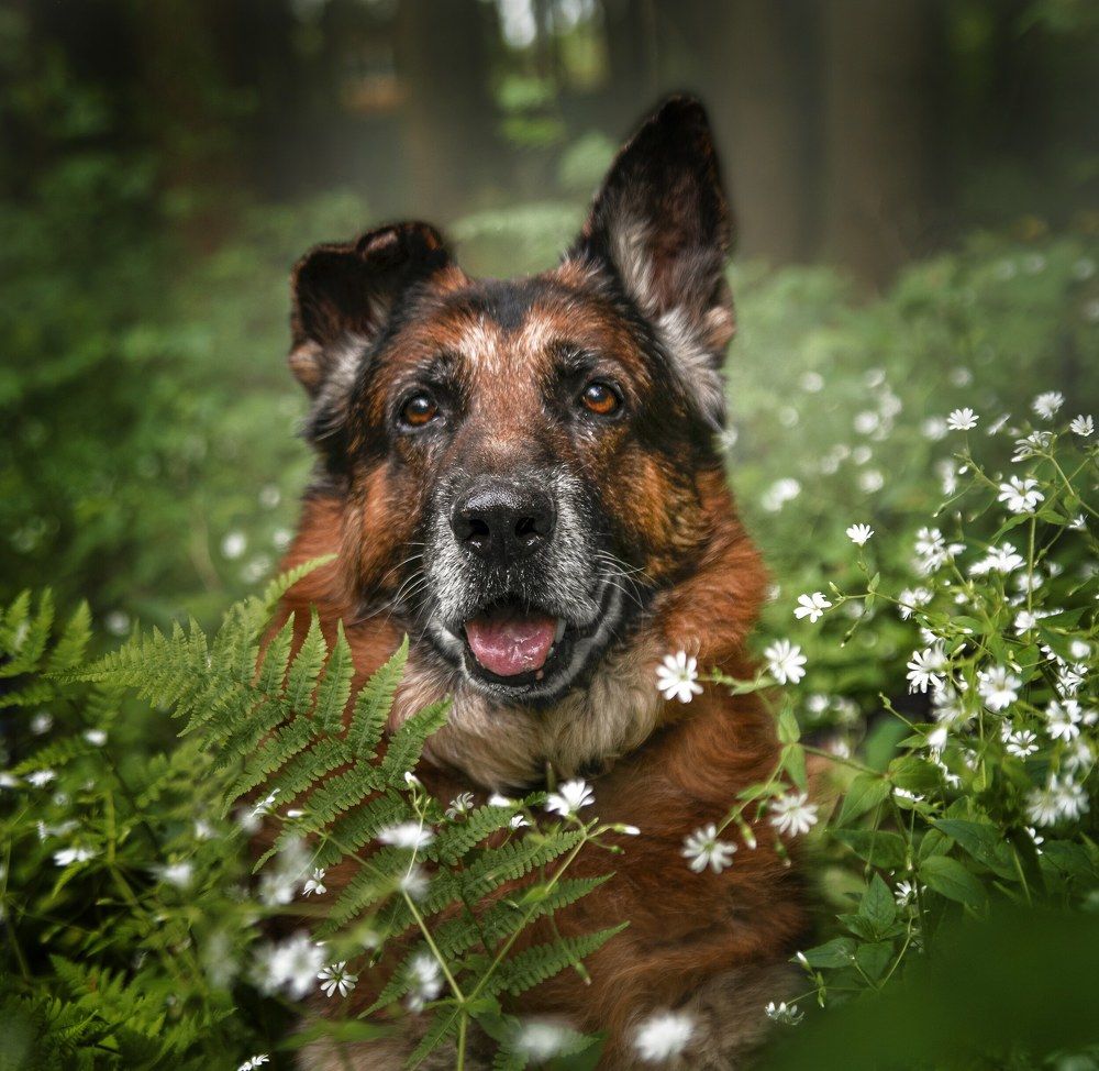 Photograph by Ирина Бондаркова