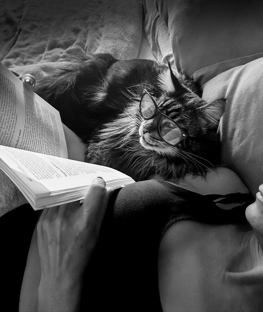 Фотография автора David Baez