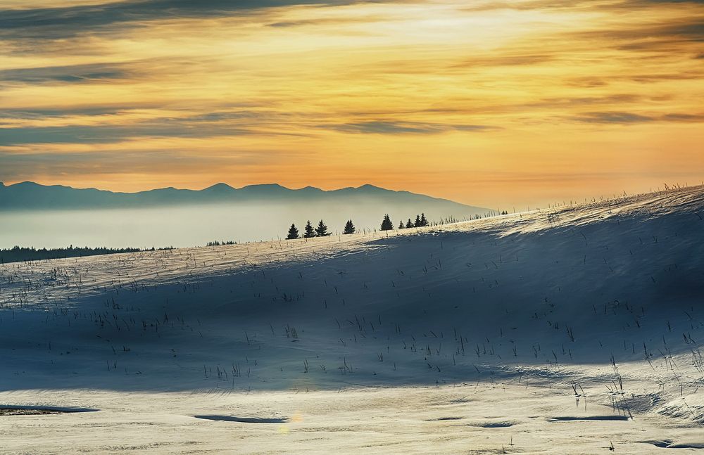 Photograph by Petya Lazarova