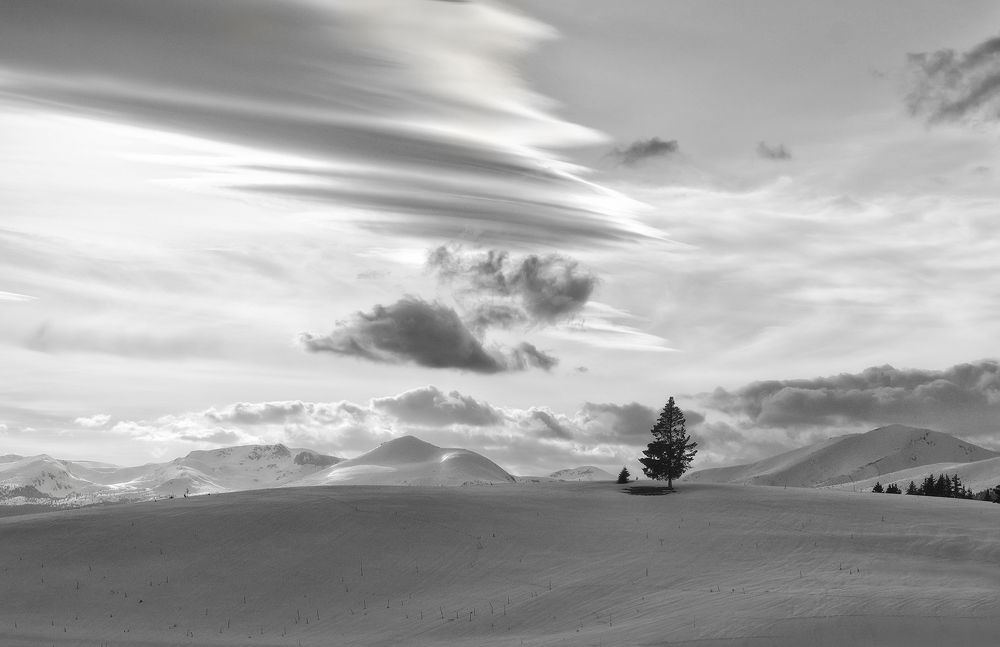 Photograph by Petya Lazarova