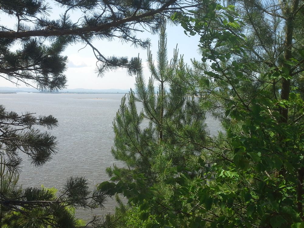 Амур Батюшка