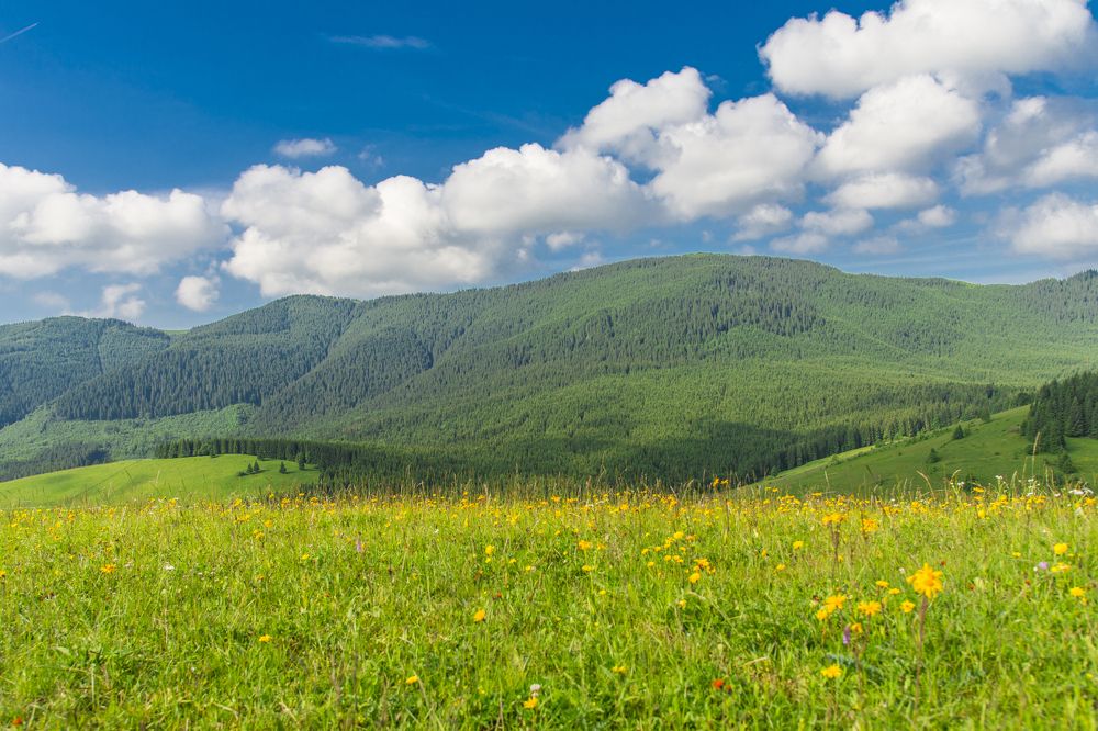 Photograph by Максим Попельнюх