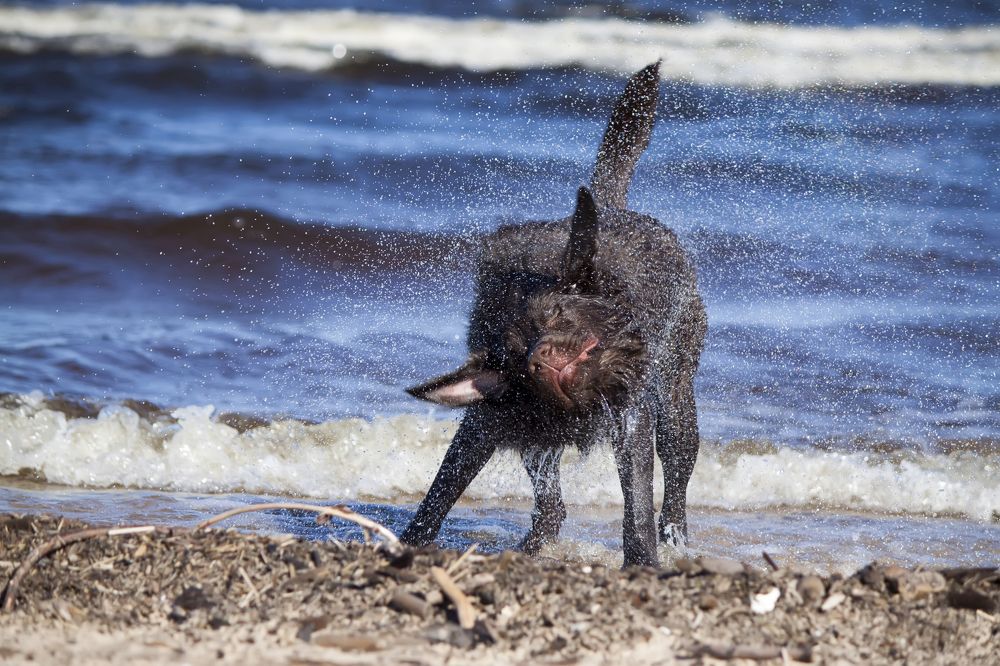 Photograph by Александра Савельева