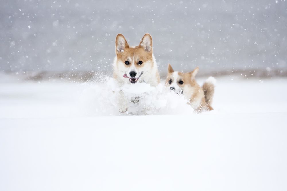 Photograph by Александра Савельева