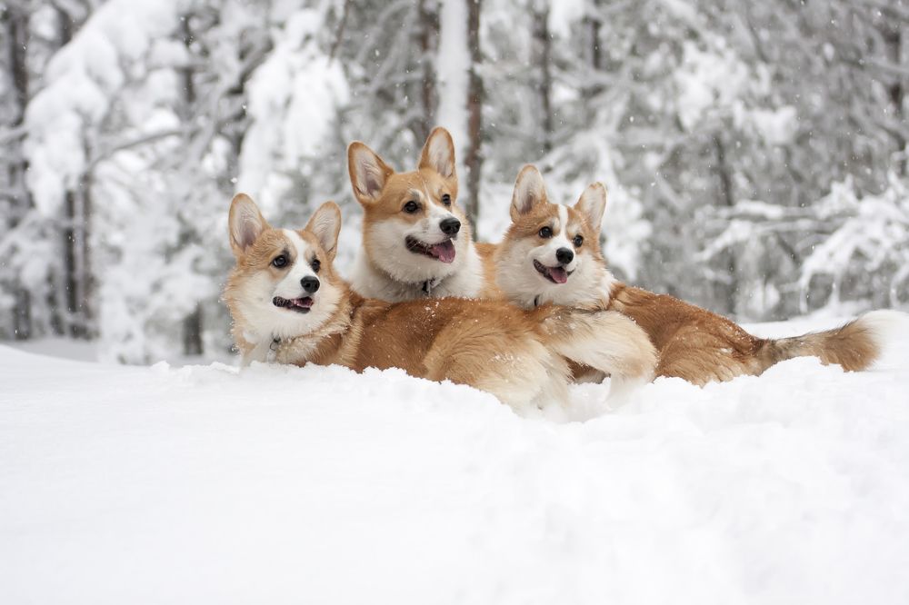 Photograph by Александра Савельева
