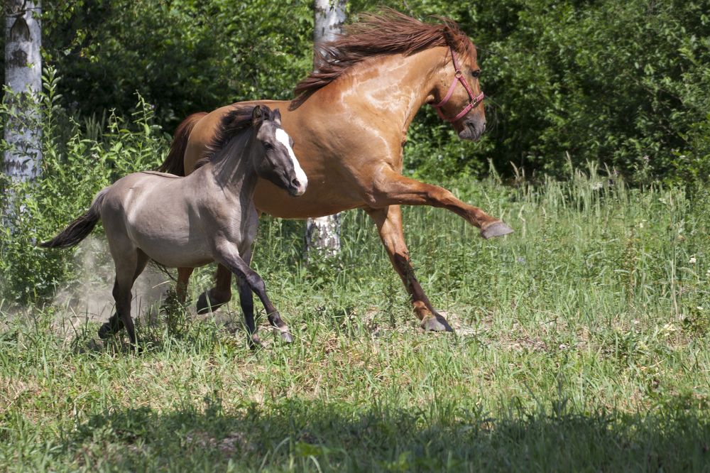 Photograph by Александра Савельева