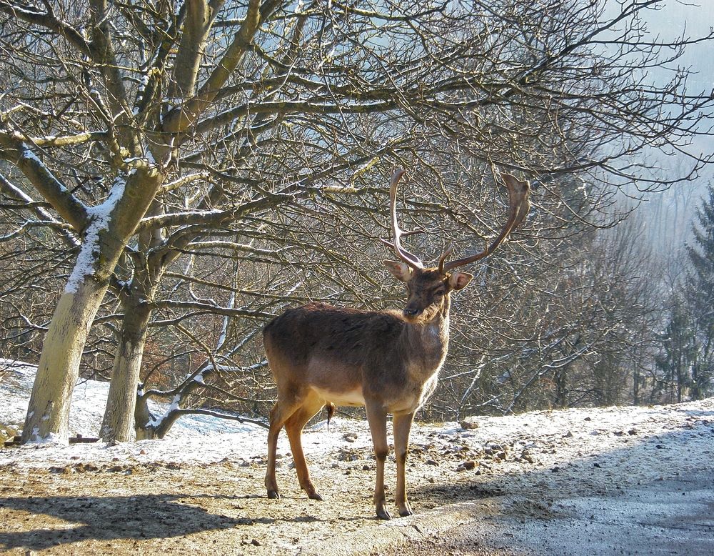 Photograph by Алина Голубева
