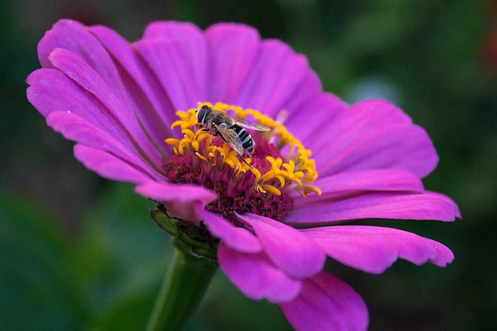 Photograph by Yroslava Veretina