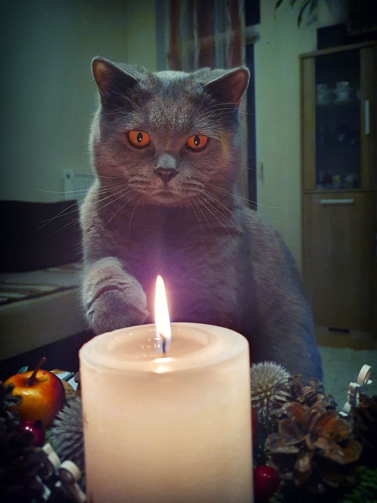 Photograph by RelaxWolf