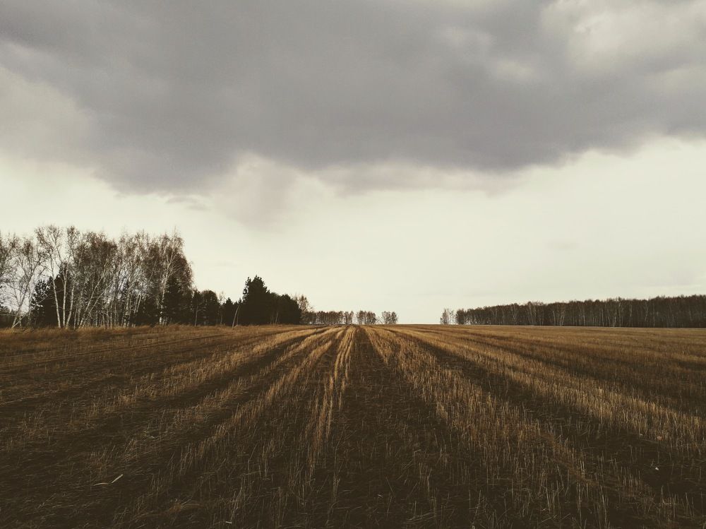 Photograph by Андрей Красников