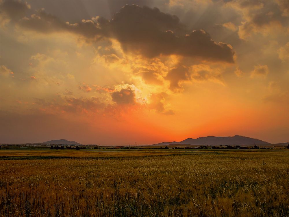 Photograph by sadouni zaki