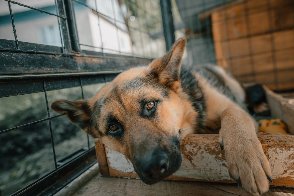 Photograph by Вячеслав Закревський