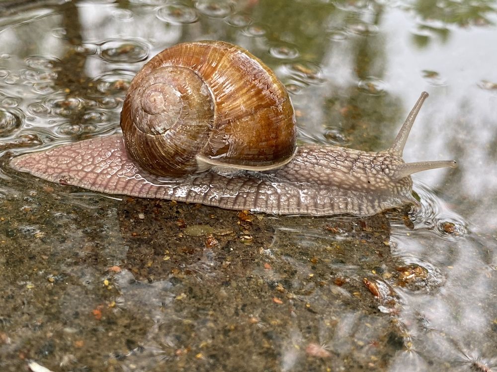 Photograph by Оля