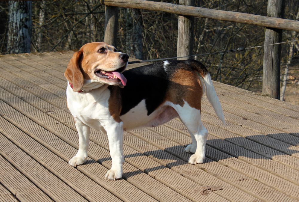 Photograph by RelaxWolf