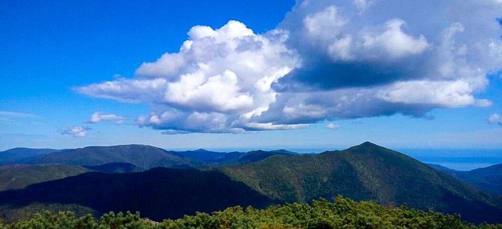 Photograph by Антон