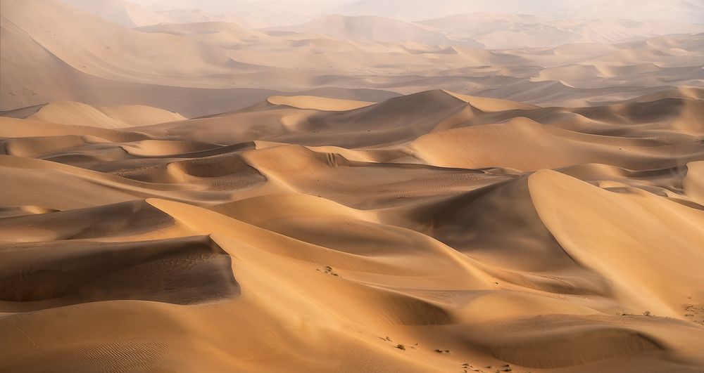 Photograph by 东烨华